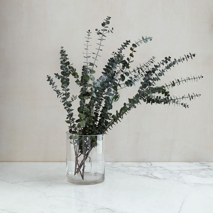 eukalyptus inredning