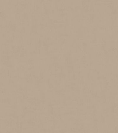 Brun, Beige tapet med Kalk, Enfärgat,  mönster
