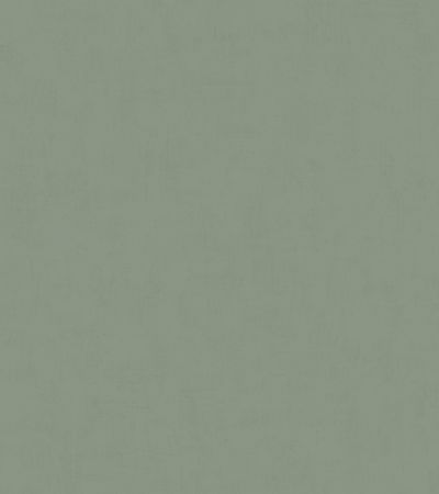 Grön tapet med Enfärgat, Kalk,  mönster