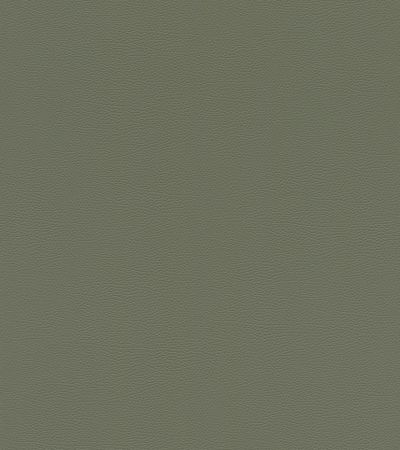 Grön tapet med Djur, Enfärgat mönster